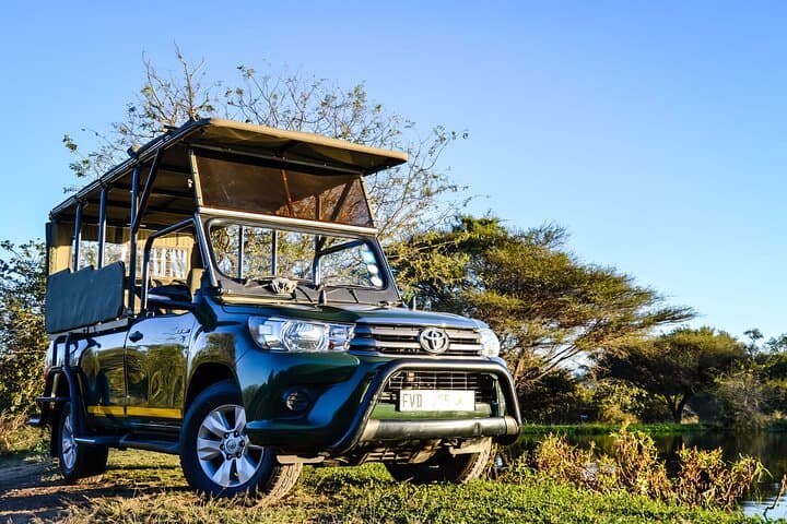 Kruger National Park Private-Guide Wildlife Safari: Big Five Day Drive
