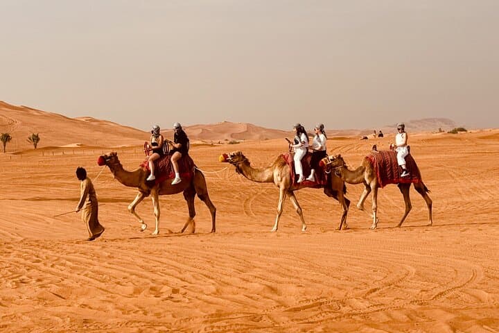 Dubai Red Dune Safari: Camel, Falcon & Sandboarding with Premium BBQ photo 2