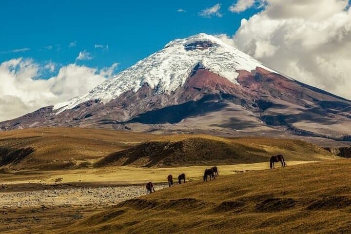 Cotopaxi in a Day: Hike to José Rivas Refuge & Limpiopungo