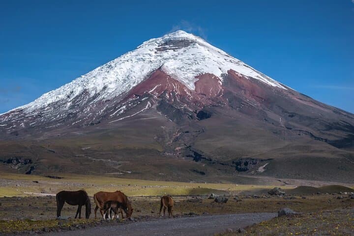 Cotopaxi in a Day: Hike to José Rivas Refuge & Limpiopungo photo 5
