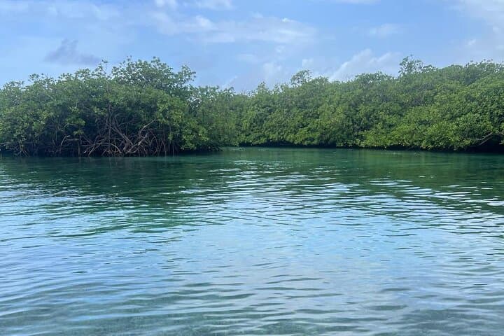 Private Blue Veins & Playa Blanca Day Tour from Colón photo 3