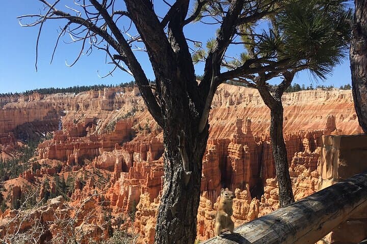 Bryce Canyon Private Tour: 3-Hour Guided Mini Bus to Hoodoos and Overlooks photo 3
