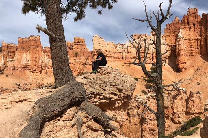 Bryce Canyon Private Tour: 3-Hour Guided Mini Bus to Hoodoos and Overlooks photo 4