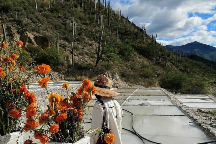 Explore Tehuacán-Cuicatlán Biosphere Reserve: Cacti, Salt Pans & Mezcal Tasting photo 4