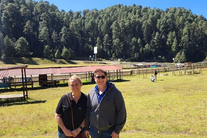 Witness the Monarch Migration: Private Sanctuary Tour from Mexico City photo 6