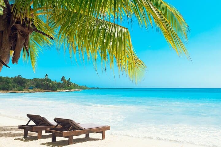Saona Island Day Trip from Punta Cana: Natural Pool, Beaches & Open Bar photo 2