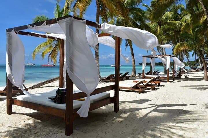 Saona Island Day Trip from Punta Cana: Natural Pool, Beaches & Open Bar photo 3