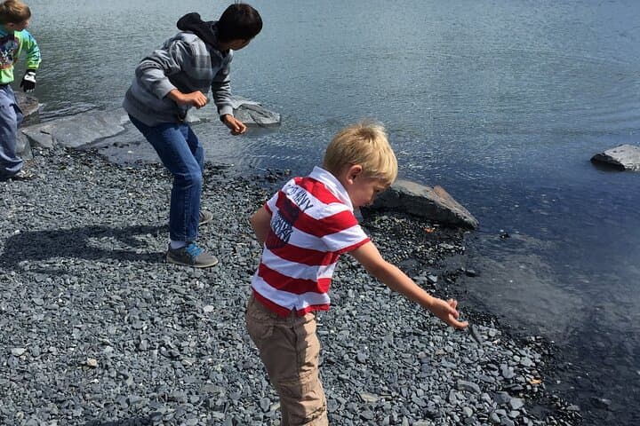 Whittier to Anchorage Seward Highway Wildlife & Sightseeing Tour photo 2