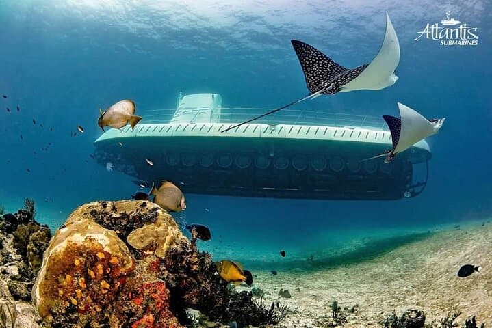 Cozumel Submarine Tour: Underwater Views, Ferry Ride & Cozumel Free Time