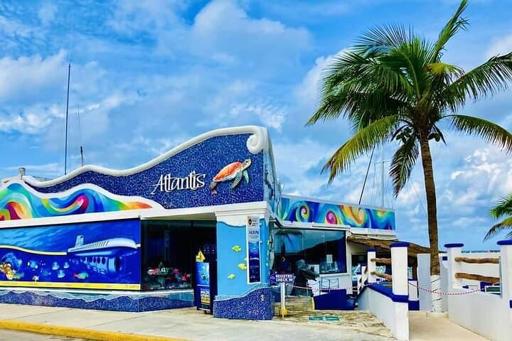 Cozumel Submarine Tour: Underwater Views, Ferry Ride & Cozumel Free Time photo 3