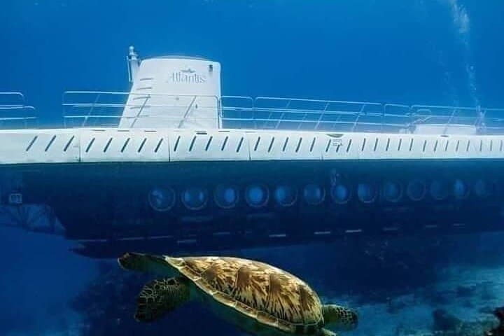 Cozumel Submarine Tour: Underwater Views, Ferry Ride & Cozumel Free Time photo 4