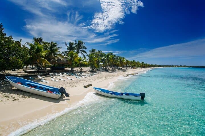 Saona Island Day Trip from Punta Cana: Natural Pool, Beaches & Open Bar photo 5