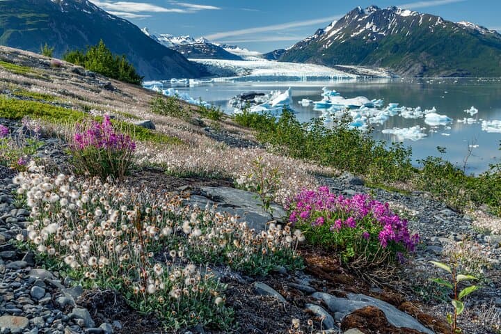 Bear Glacier Helicopter Landing: Seward Flight Over Kenai Fjords