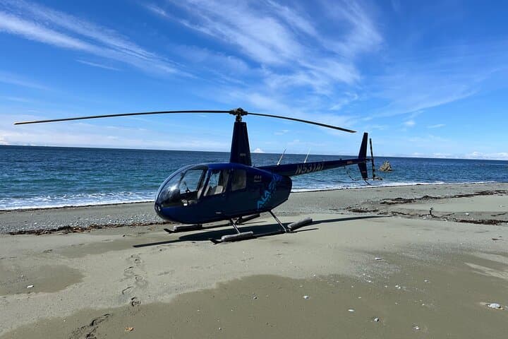 Bear Glacier Helicopter Landing: Seward Flight Over Kenai Fjords photo 4