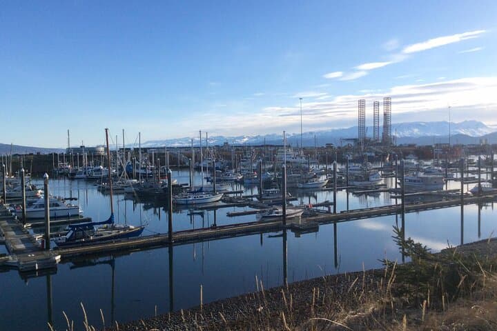 Whittier to Anchorage Seward Highway Wildlife & Sightseeing Tour photo 4