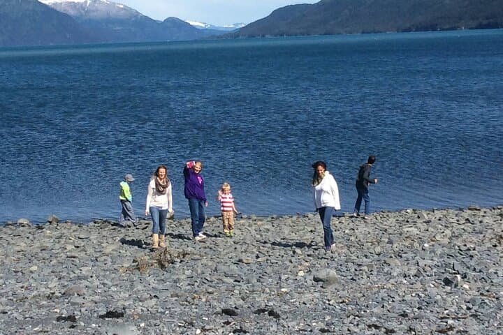 Whittier to Anchorage Seward Highway Wildlife & Sightseeing Tour photo 5