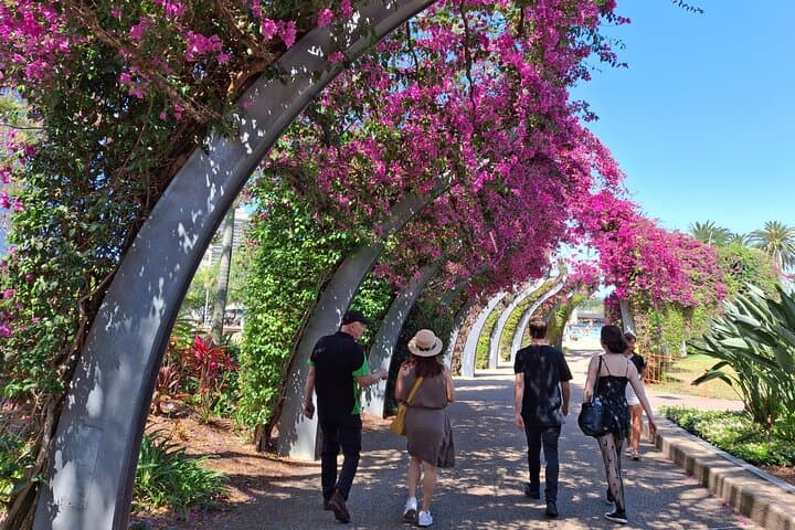 Brisbane in a Day: Private City Highlights from Mt Coot-tha to Story Bridge photo 2