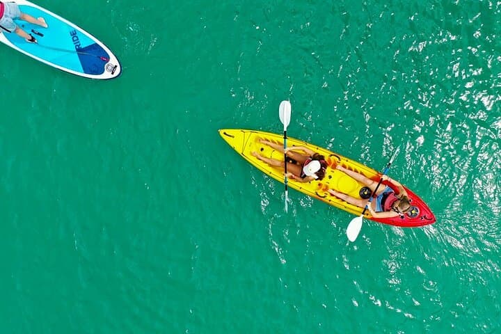 Hole in the Rock Dolphin Cruise from Auckland — Bay of Islands Day Trip photo 4