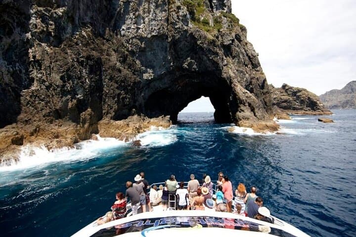 Hole in the Rock Dolphin Cruise from Auckland — Bay of Islands Day Trip photo 5