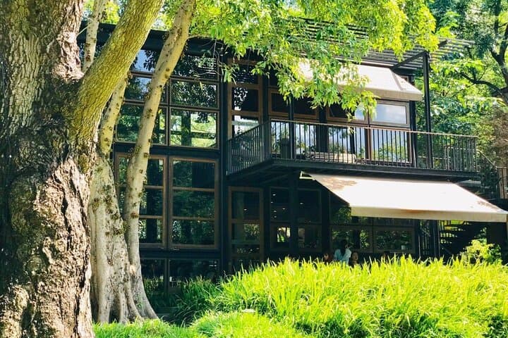 Chiang Mai Doi Suthep Private Day Tour — Temple, Trails & Waterfalls photo 4