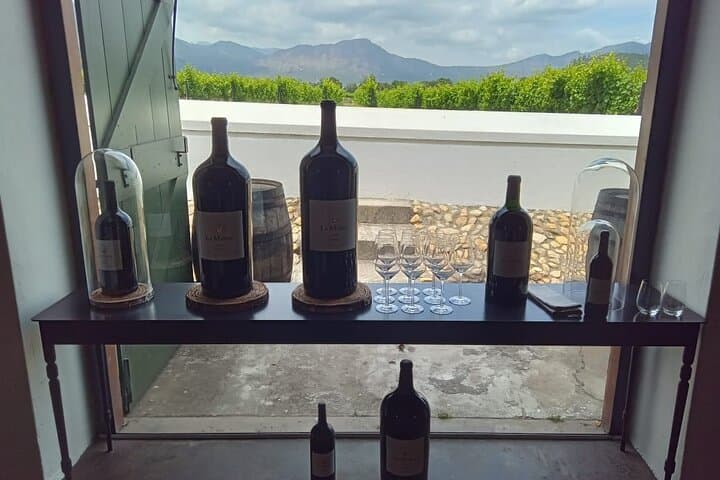 Cheetah Outreach & Winelands Full-Day Tour from Cape Town photo 3