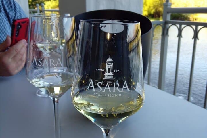 Cheetah Outreach & Winelands Full-Day Tour from Cape Town photo 5