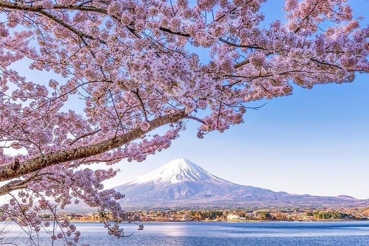 Mount Fuji Full-Day Sightseeing Tour from Tokyo — Kawaguchi, Oshino Hakkai & Lake Views photo 3
