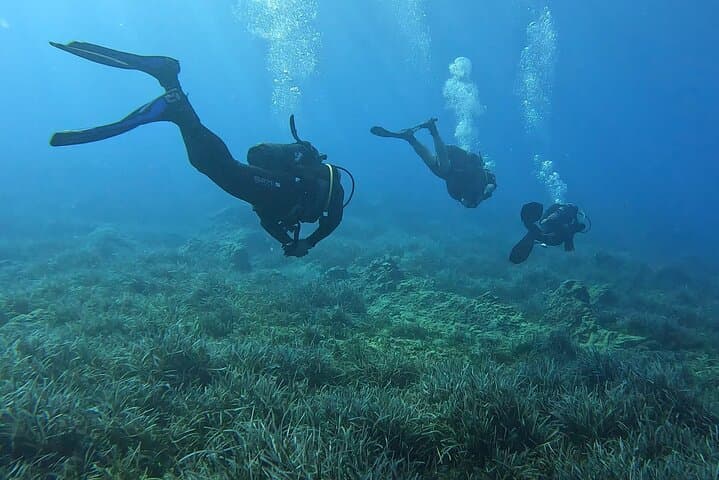 PADI Open Water Diver Course in Latchi — Learn to Dive the Akamas Coast photo 6