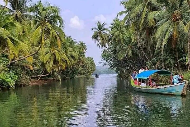 Kumarakom Backwaters Private Shikara Cruise & Bird Sanctuary Day Tour from Kochi photo 1