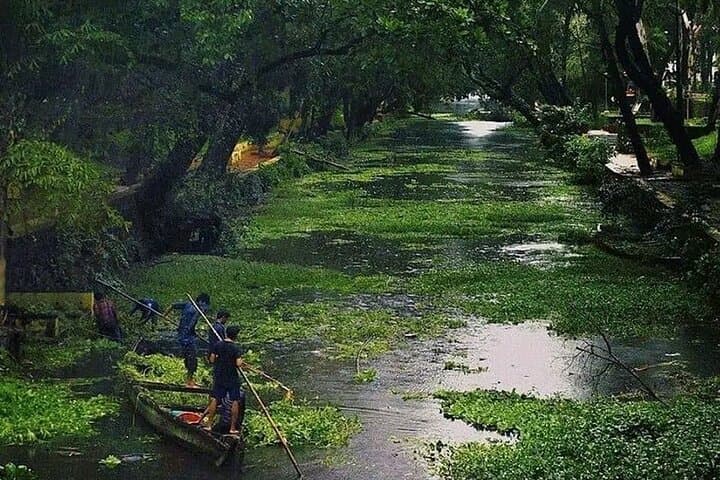 Kumarakom Backwaters Private Shikara Cruise & Bird Sanctuary Day Tour from Kochi photo 2