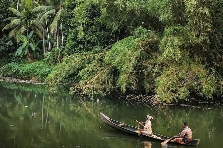 Kumarakom Backwaters Private Shikara Cruise & Bird Sanctuary Day Tour from Kochi photo 4