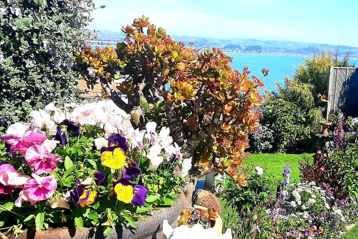 Napier Art Deco, Te Mata Peak & Vineyard Wine Tasting Shore Excursion photo 3