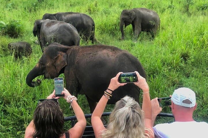 Sigiriya Rock Climb, Village Village Tour, Cooking Class & Minneriya Elephant Safari