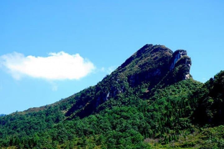 Ham Rong Mountain Trekking: Sapa Day Hike with a Hmong Local Guide
