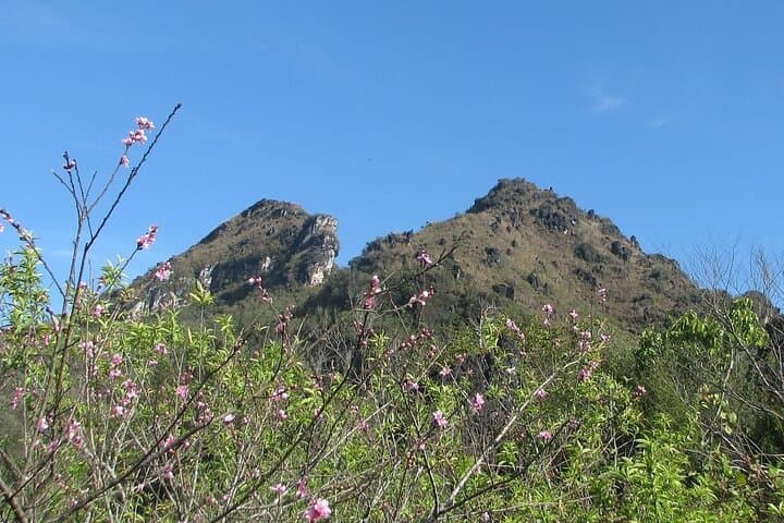 Ham Rong Mountain Trekking: Sapa Day Hike with a Hmong Local Guide photo 4
