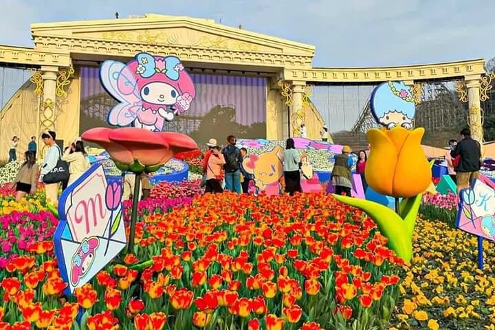 Seoul to Everland Private Transfer: Stress-Free Ride to Korea's Top Theme Park photo 5