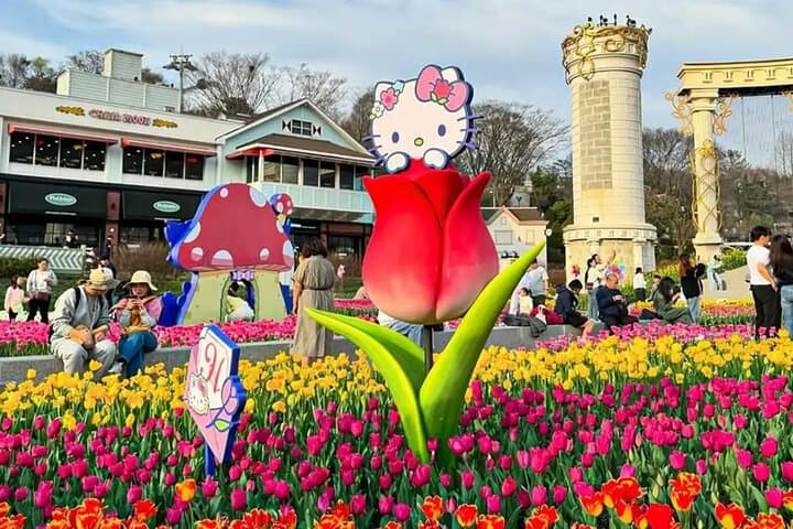 Seoul to Everland Private Transfer: Stress-Free Ride to Korea's Top Theme Park