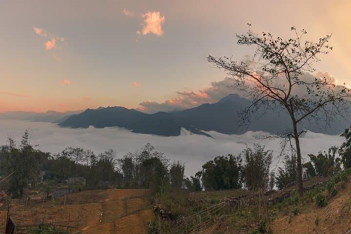 Ham Rong Mountain Trekking: Sapa Day Hike with a Hmong Local Guide photo 5