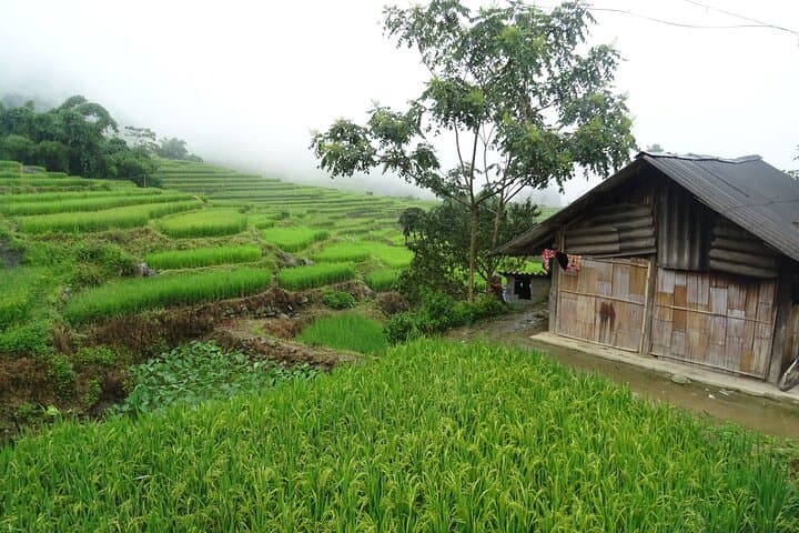 Hidden Villages Trek: Hau Thao, Hang Da & Sa Seng Trekking in Sapa photo 5