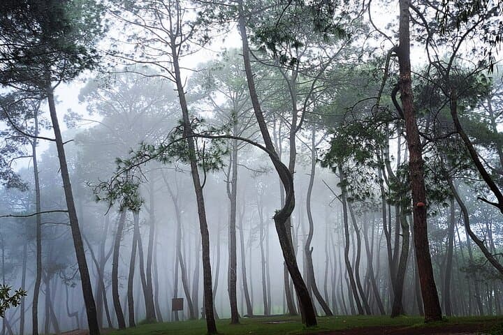 Chandragiri One-Day Trek: Kathmandu Rim Hike with Cable Car Views photo 6