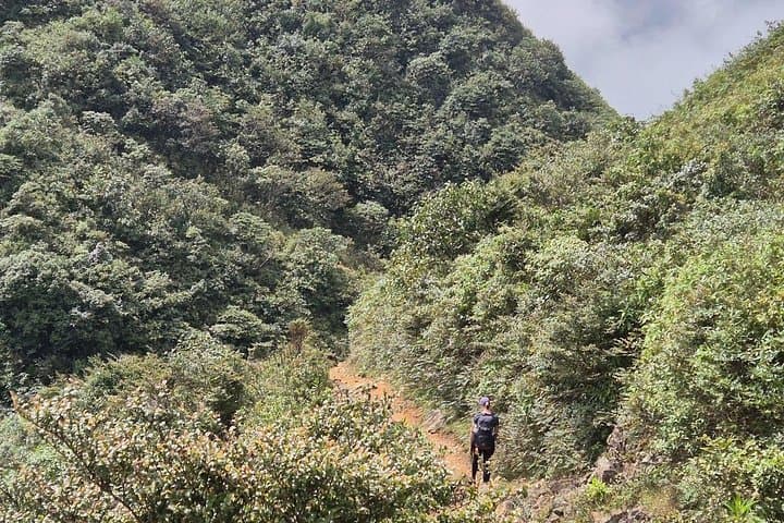 Sapa 21km Trail Marathon: Ham Rong Summit, Muong Hoa Valley & Hmong Villages photo 3