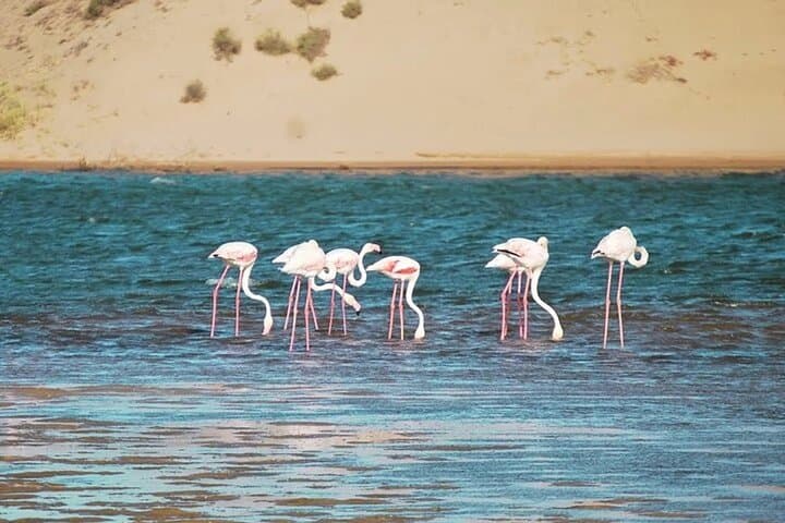 Agadir Mini Sahara Jeep Safari with Berber Lunch - Full-Day 4x4 Adventure photo 2