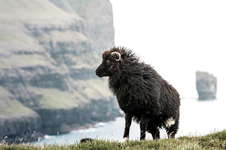 Private Faroe Islands Highlights Tour: Saksun, Tjørnuvík & Gjógv photo 2
