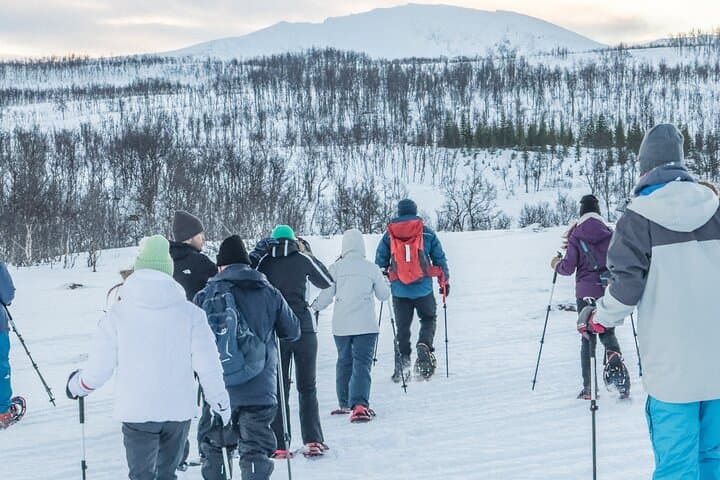 Tromsø Snowshoeing with Reindeer: Guided Winter Walk and Traditional Meal