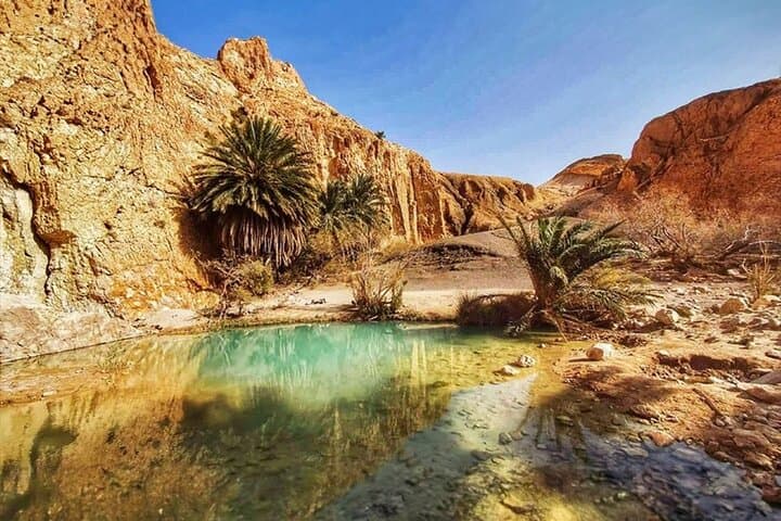 Discovery Tunisia: 7-Day Culture, Desert & History Tour from Tunis photo 2