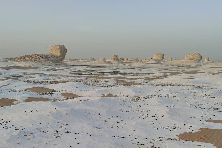 White Desert and Bahariya Oasis Overnight Safari from Cairo photo 5