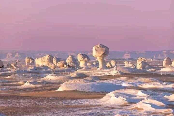 White Desert and Bahariya Oasis Overnight Safari from Cairo photo 3