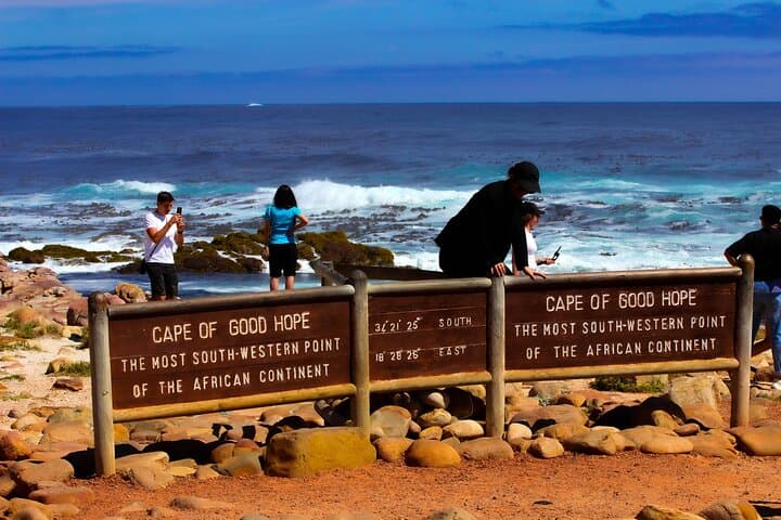 Cape Point & Boulders Beach Half-Day: Penguins, Cliffs and Chapman’s Peak Drive photo 4