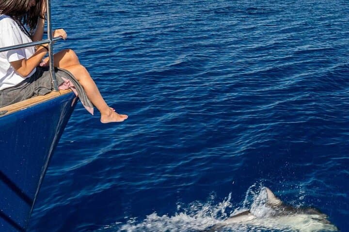 Milos Catamaran Cruise to Kleftiko — Full-Day Sailing from Agia Kiriaki photo 3