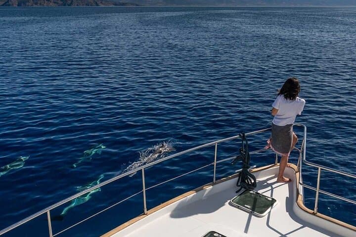 Milos Catamaran Cruise to Kleftiko — Full-Day Sailing from Agia Kiriaki photo 5